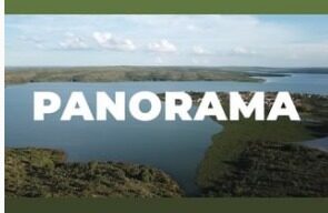Panorama #5