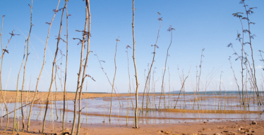 Paisagem da Represa de Três Marias (Daniela Paoliello).