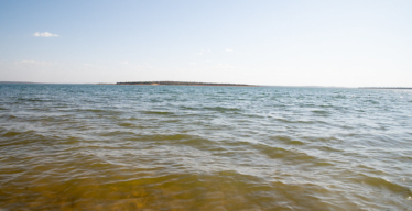 Água da Represa de Três Marias (Daniela Paoliello)