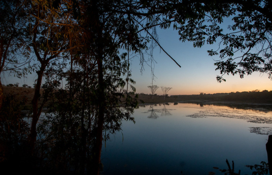 Rio Paraopeba visto do PA Queima Fogo (Daniela Paoliello)