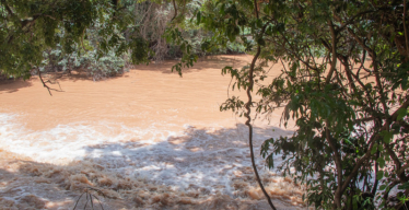 Curso d'água em tons marrons cercado de vegetação