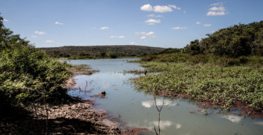 Rio Paraopeba (foto de Daniela Paoliello)