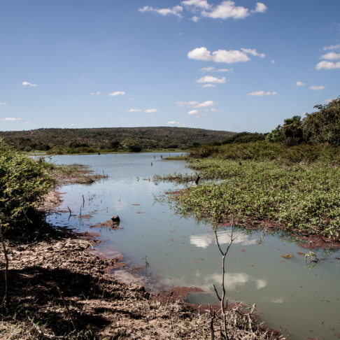 Rio Paraopeba (foto de Daniela Paoliello)