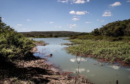 Rio Paraopeba (foto de Daniela Paoliello)