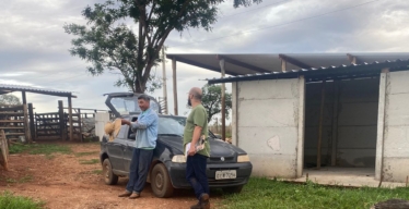 Reunião Novilha Brava e Campo Alegre
