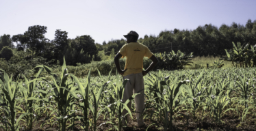 Quilombo Saco Barreiro (acervo Guaicuy)