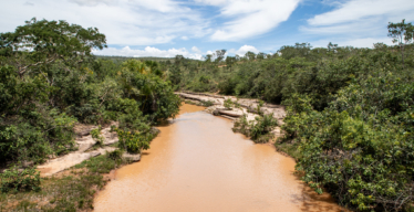 Rio com água marrom cercado por árvores, ao fundo céu azul com nuvens (acervo Guaicuy).