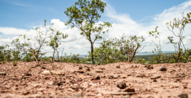 Chão de terra, árvores e céu (acervo Guaicuy).