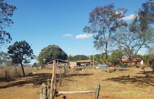 Imagem de área rural com pequenas construções e animais soltos como galinhas, cachorros e vacas.